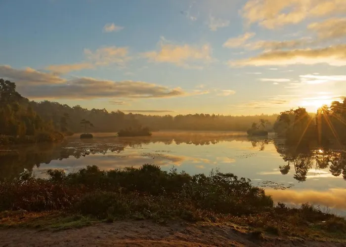 Σαλέ 68, Stijlvol & Rustig Tuinverblijf Met Lounge & Airco! Nabij Efteling Oisterwijk