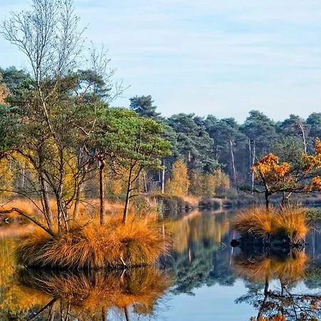 בקתה 68, Stijlvol & Rustig Tuinverblijf Met Lounge & Airco! Nabij Efteling *