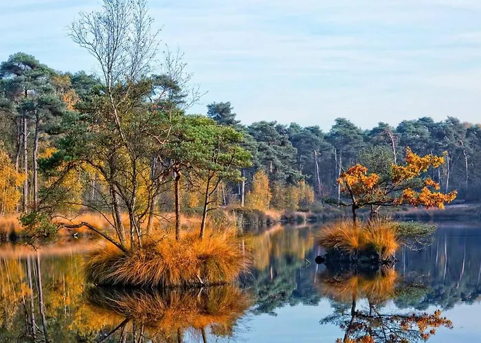 Chalet 68, Stijlvol & Rustig Tuinverblijf Met Lounge & Airco! Nabij Efteling *