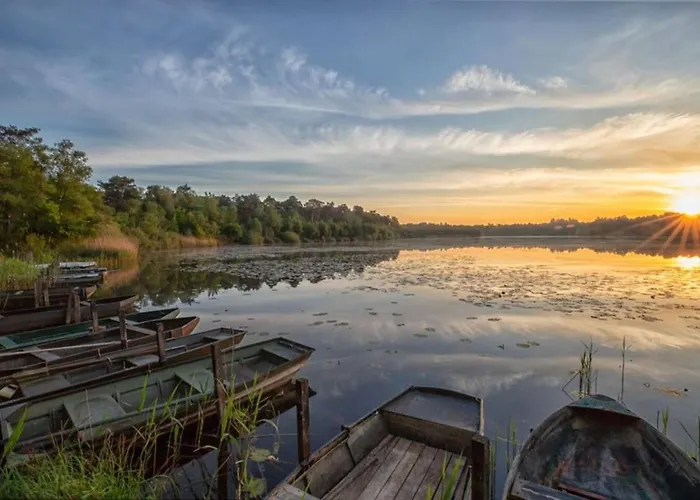 68, Stijlvol & Rustig Tuinverblijf Met Lounge & Airco! Nabij Efteling *